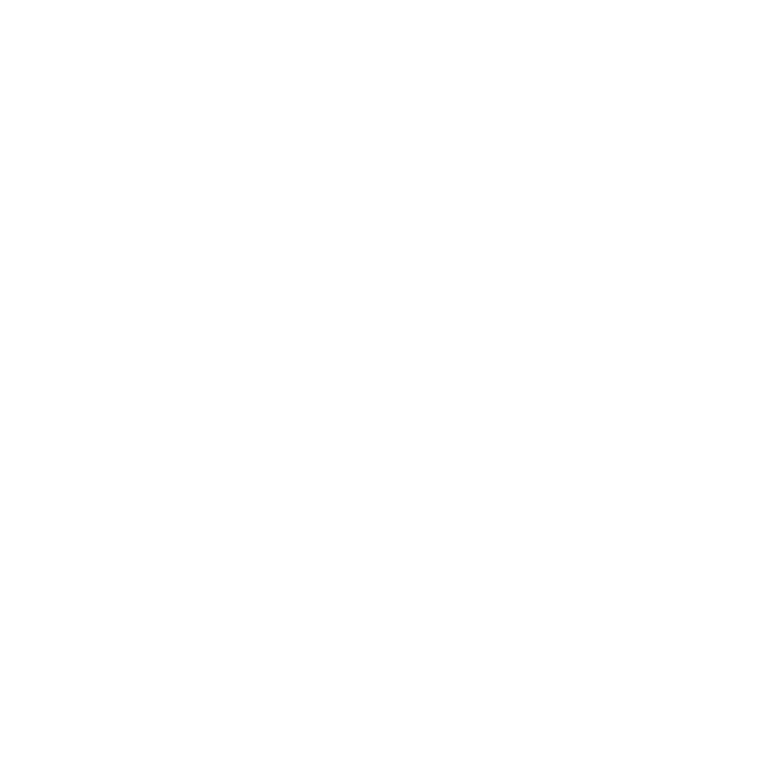 Studentflak Syd